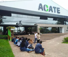 Impact Hub Primavera