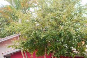 Vila Santina