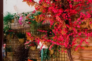 Villa Rio Restaurante